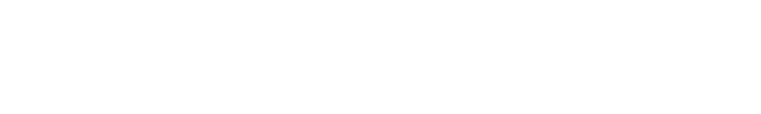 Sebastian Professional